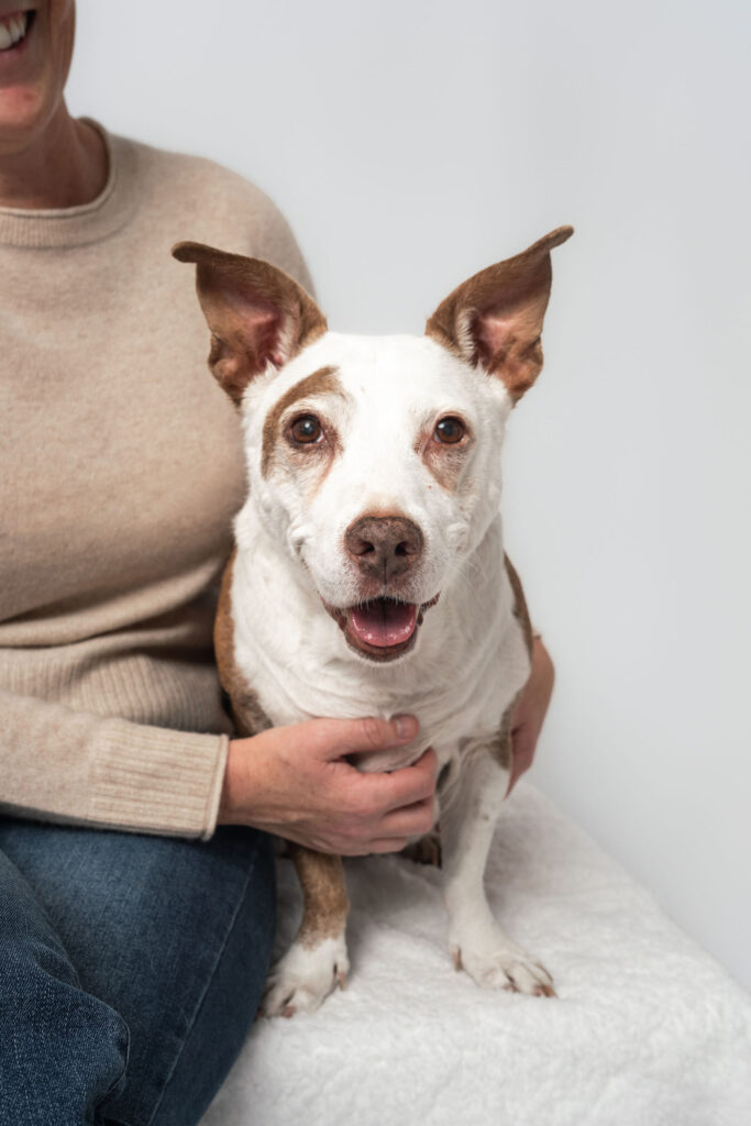 Dog mom resting her hand on senior dog during emotional session