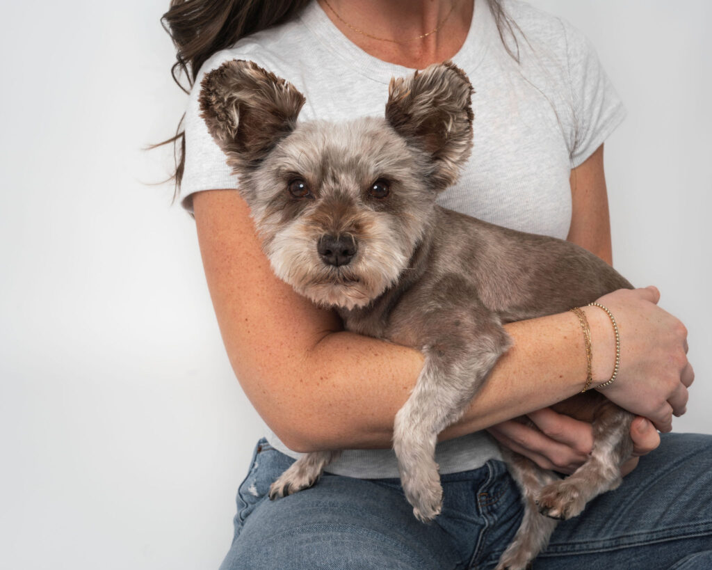 Dog photography studio session with dog and owner in calm indoor setting