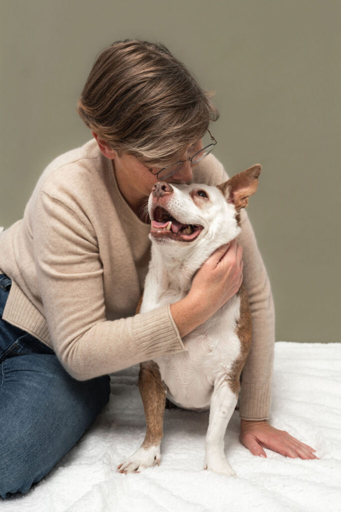 Senior dog Moxie sitting calmly during a studio portrait session in San Diego