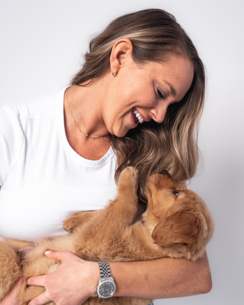 Golden retriever puppy looking up at owner during a studio puppy portrait session
