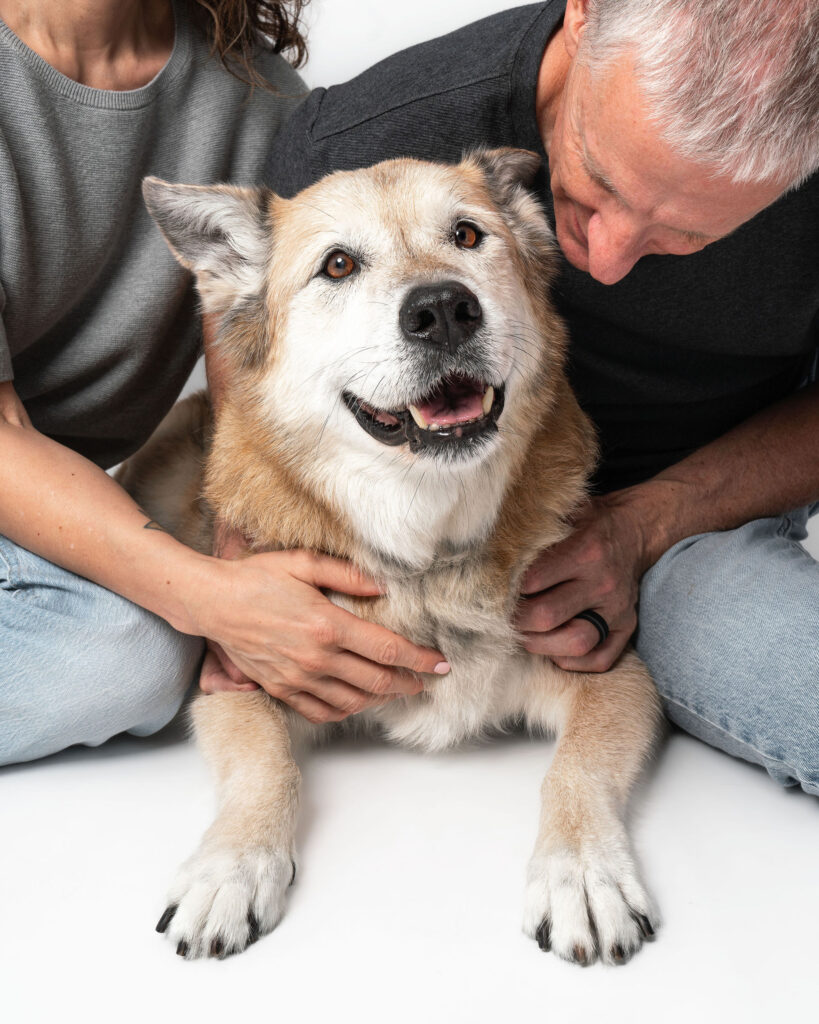 Dog and owner sharing a moment together during a guided studio portrait session at Eleven Paws Photography