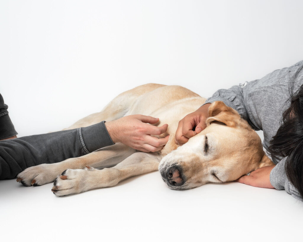 Dog and family portrait photographed at Eleven Paws Photography in San Diego